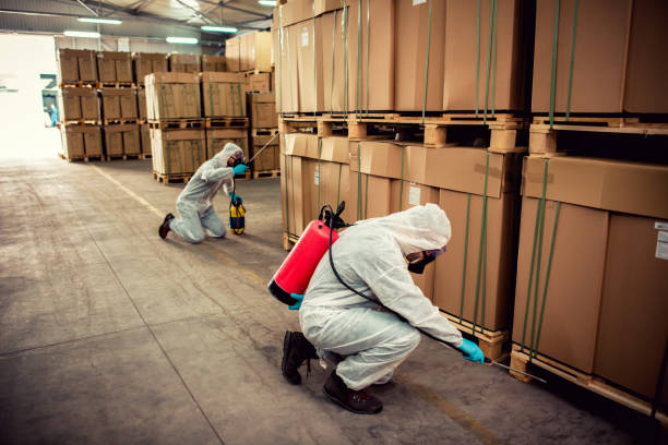 Best Mosquito Control Services  in Nixa, MO