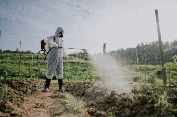 Best Local Pest Control Services  in Nixa, MO
