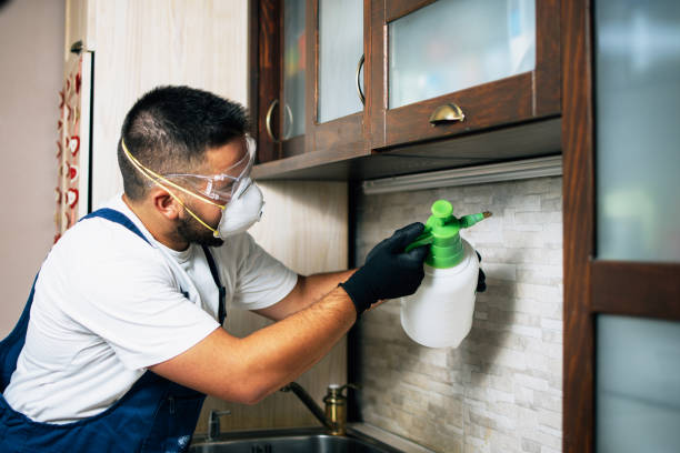 Best Best Pest Control Companies  in Nixa, MO
