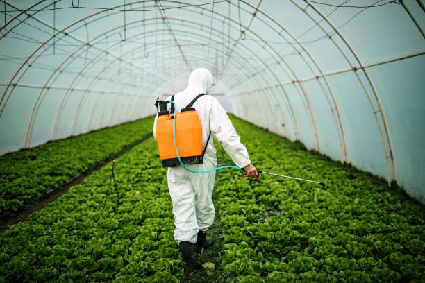 Best Affordable Pest Control Services  in Nixa, MO